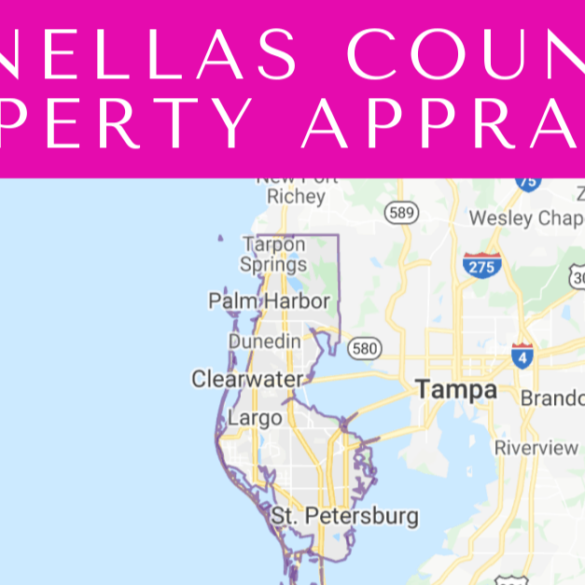 Pinellas County Property Appraiser A Comprehensive Guide