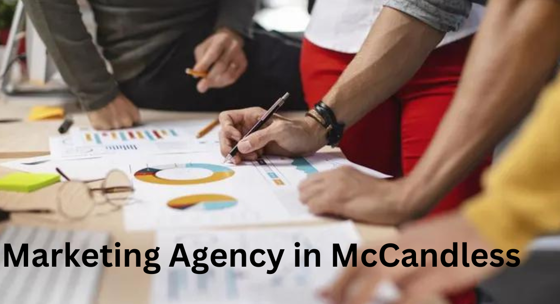 Marketing Agency in McCandless