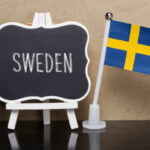 Översägt vs. Översatt: Understanding Common Translation Errors in Swedish