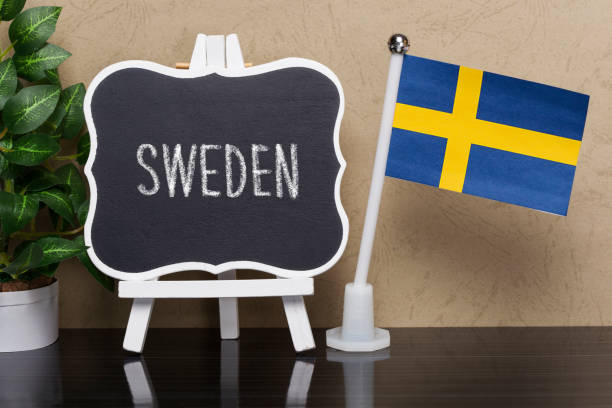 Översägt vs. Översatt: Understanding Common Translation Errors in Swedish